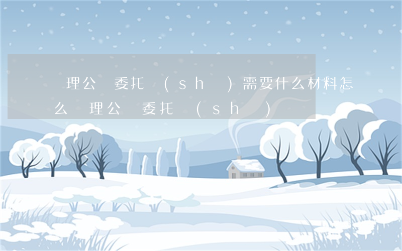 辦理公證委托書(shū)需要什么材料(怎么辦理公證委托書(shū))