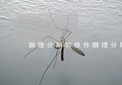 辦理分期的條件(辦理分期的條件和流程)