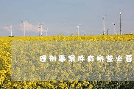 辦理刑事案件有哪些必要程序