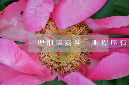 辦理刑事案件簡明程序有哪些