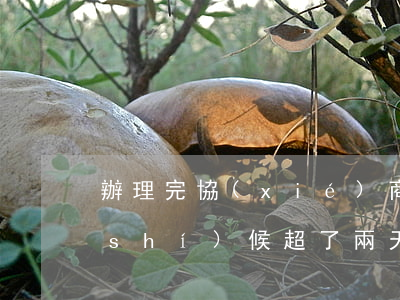 辦理完協(xié)商還款以后還款的時(shí)候超了兩天-協(xié)商還款晚了兩天會(huì)怎么樣