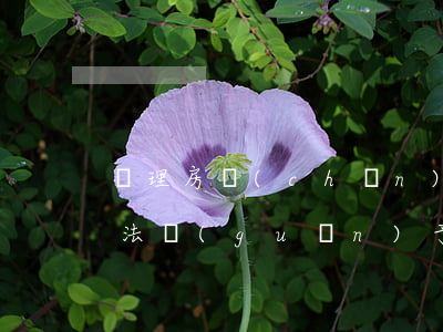 辦理房產(chǎn)繼承有什么途徑(繼承法關(guān)于房產(chǎn)繼承的哪些手續(xù))