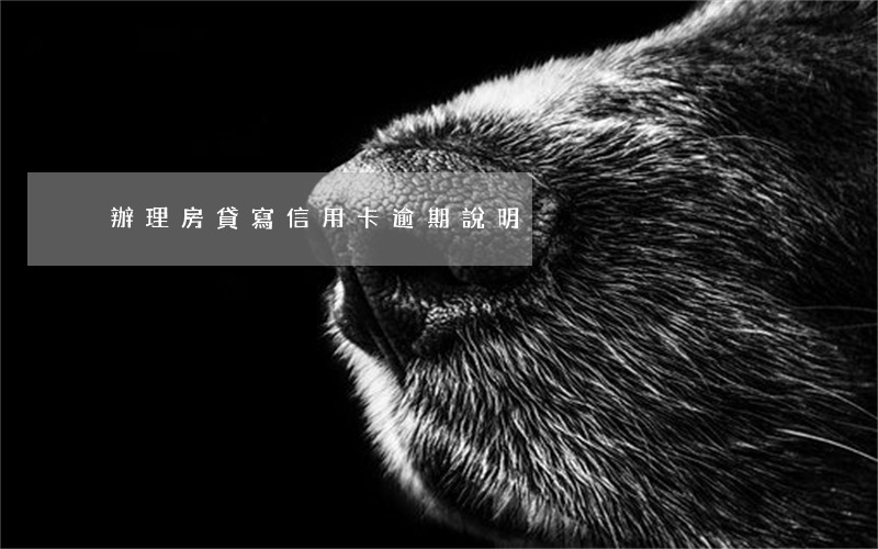 辦理房貸寫信用卡逾期說明