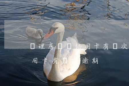 辦理房貸時信用卡有幾次逾期(辦理房貸時信用卡有幾次逾期)