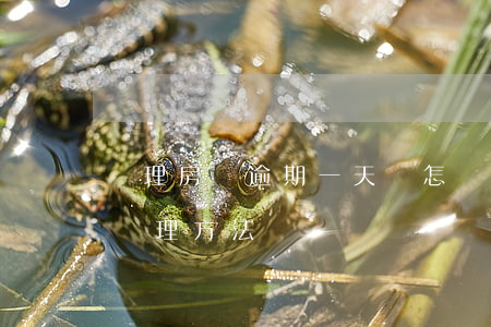 辦理房貸逾期一天會怎樣(房貸逾期一天怎么處理方法)
