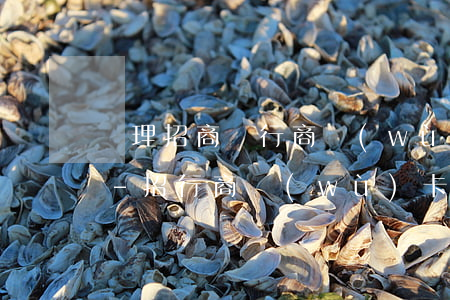 辦理招商銀行商務(wù)卡有逾期怎么辦-招行商務(wù)卡影響個人信用嗎