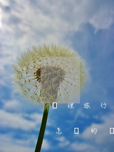 辦理旅行社資質(zhì)注冊資本要求是怎樣的（辦理旅行社資質(zhì)所需材料）