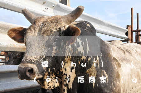 辦理會(huì)員預(yù)付卡消費(fèi)后,商家關(guān)店失聯(lián)怎么辦