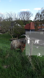 辦理機動車繼承的公證需要什么手續(xù)(汽車繼承公證需要什么資料)