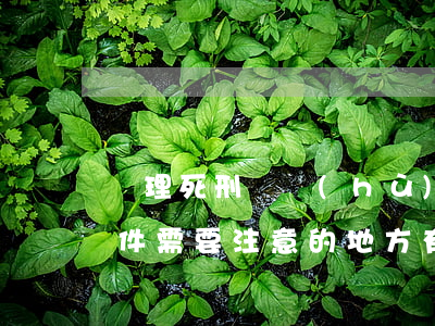 辦理死刑辯護(hù)以及復(fù)核案件，需要注意的地方有什么