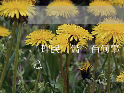 辦理民間借貸有何事項(xiàng)要注意