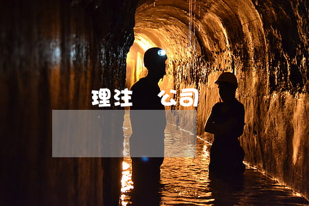 辦理注銷公司