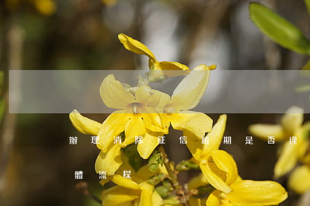 辦理消除征信逾期是否違法（消除征信逾期具體流程）