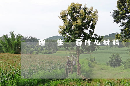 辦理準生證要什么材料（準生證什么時候辦）