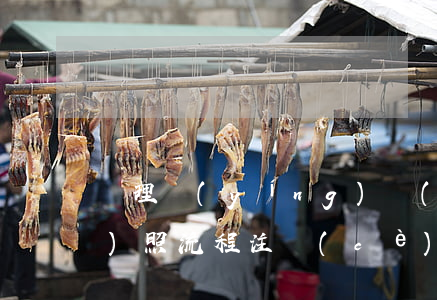 辦理營(yíng)業(yè)執(zhí)照流程(注冊(cè)營(yíng)業(yè)執(zhí)照辦理流程)