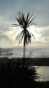 辦理營業(yè)執(zhí)照流程