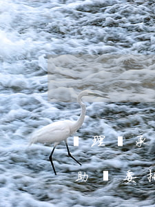 辦理繼承公證可以申請(qǐng)法律援助嗎(委托繼承公證)
