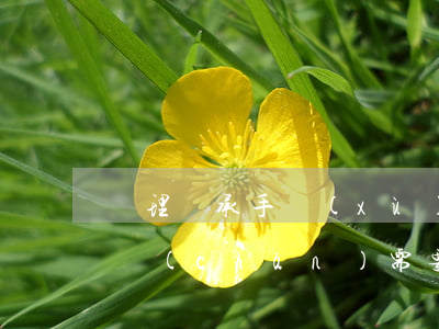 辦理繼承手續(xù)需要什么材料(繼承遺產(chǎn)需要什么手續(xù))