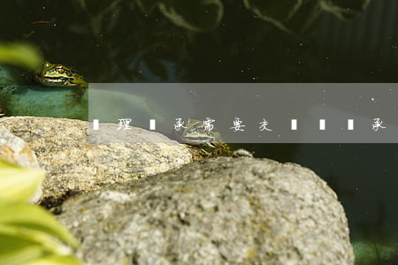 辦理繼承需要交稅嗎(繼承不需要交什么稅)