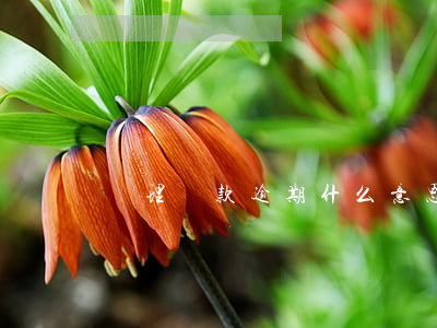 辦理貸款逾期什么意思(什么叫逾期貸款)