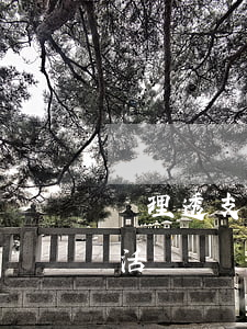 辦理透支信用卡怎么激活(信用卡如何開卡激活)