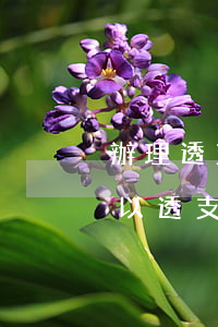 辦理透支信用卡需要什么(哪些銀行信用卡可以透支)