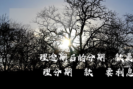 辦理逾期后的分期還款是什么工作-逾期后辦理分期還款還要利息嗎