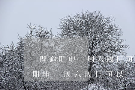 辦理逾期申報周六周日可以辦理嗎-辦理逾期申報周六周日可以辦理嗎