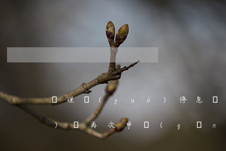 辦理過(guò)停息掛賬沒按時(shí)還再次申請(qǐng)有用嗎-停息掛賬后二次逾期怎么辦