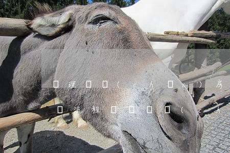辦理遺產(chǎn)房產(chǎn)過戶流程(請問遺產(chǎn)怎么過戶)