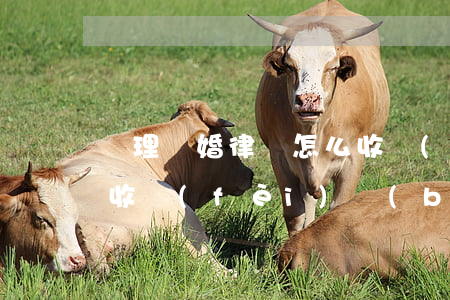 辦理離婚律師怎么收費(fèi)(離婚律師收費(fèi)標(biāo)準(zhǔn)多少)