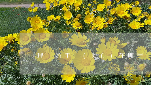 辦理離婚手續(xù)在哪里辦