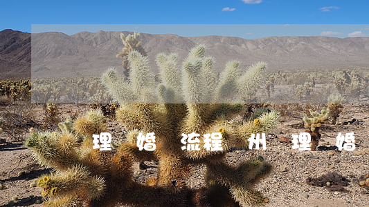 辦理離婚證流程(廣州辦理離婚證流程)