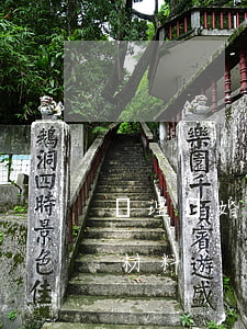 辦理離婚證需要什么材料(辦理離婚證需要的材料)