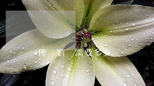 辦理離婚證需要多少錢
