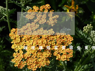 辦理離婚需要哪些東西