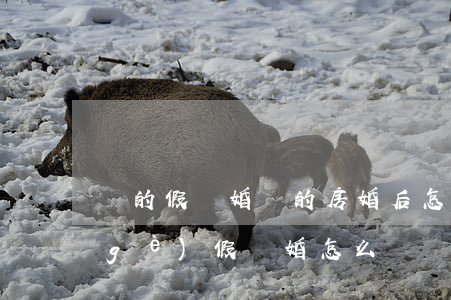 辦的假離婚買的房婚后怎么辦(買房子辦個(gè)假離婚怎么辦)