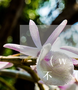 辦網(wǎng)貸不還，辦網(wǎng)貸不還會(huì)怎么樣