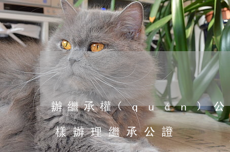 辦繼承權(quán)公證需要什么材料(怎樣辦理繼承公證)