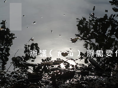 辦護(hù)照需要什么材料