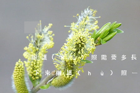 辦護(hù)照需要多長時(shí)間能下來(辦護(hù)照一般多久可以辦下來)