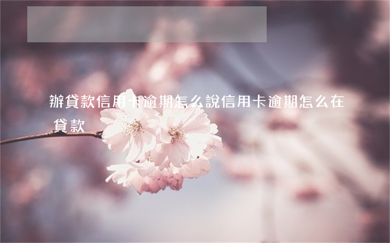 辦貸款信用卡逾期怎么說（信用卡逾期怎么在貸款）