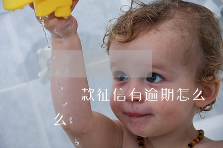辦貸款征信有逾期怎么辦(貸款逾期上征信怎么辦)