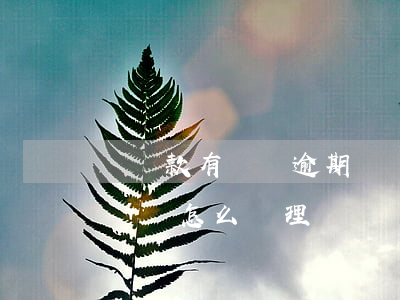 辦貸款有還貸逾期記錄(公積金貸款還款逾期記錄怎么處理?)