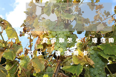 辦貸款逾期怎么辦理信用卡(銀行貸款有逾期可以辦理信用卡嗎)