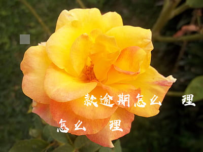 辦貸款逾期怎么辦理(貸款發(fā)生逾期,怎么處理)