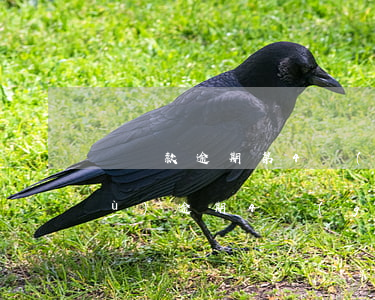 辦貸款逾期第4個(gè)月才換(連續(xù)逾期4個(gè)月能貸款嗎)