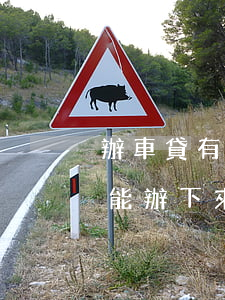 辦車貸有逾期記錄了怎么辦(有逾期記錄車貸能辦下來嗎)