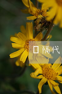 辦隔代繼承怎么辦