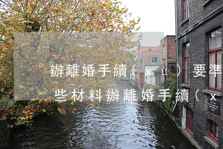 辦離婚手續(xù)要準(zhǔn)備哪些材料(辦離婚手續(xù)要準(zhǔn)備哪些材料2020)